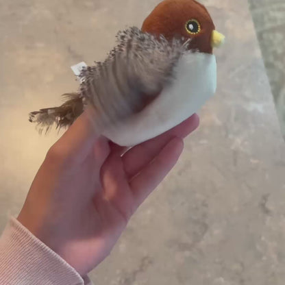 Vogelspielzeug für Katzen